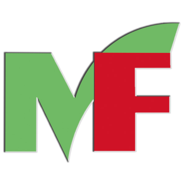 Logo Medifarma – nowoczesna opieka farmaceutyczną online